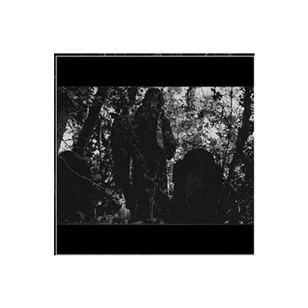 Pustota- Pustota